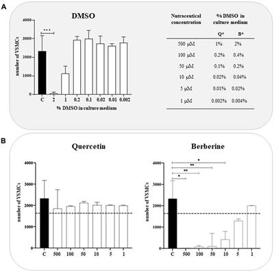 Novel in vitro evidence on the beneficial effect of quercetin treatment in vascular calcification